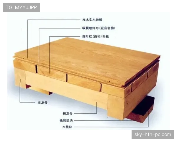 篮球着地空间规则的原理构成及执行界限