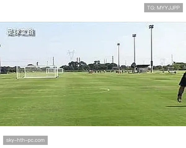 裁判手势规则详解：新手如何快速看懂场上判罚信号